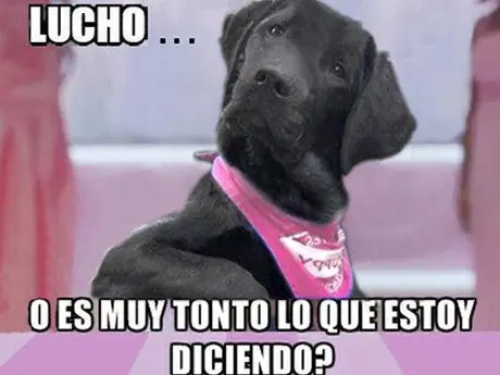 Entra y divierte, Megapost de Lucho
