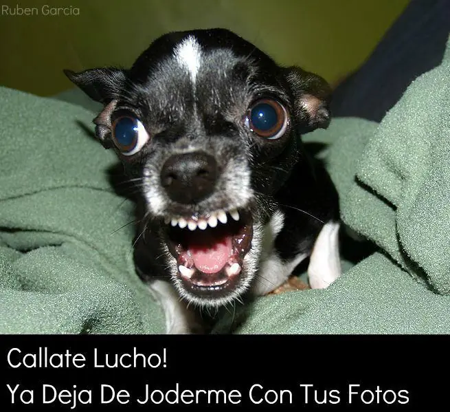 cuantocabro