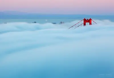niebla