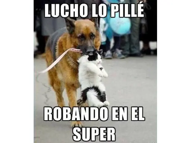 meme