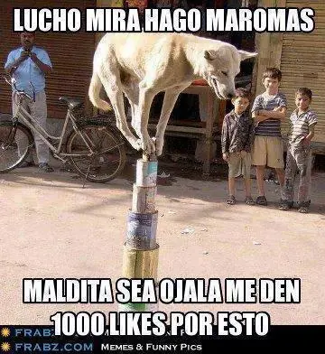 cuantocabro