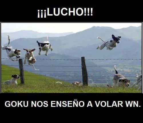 imagenes