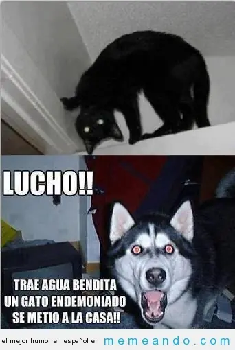 meme