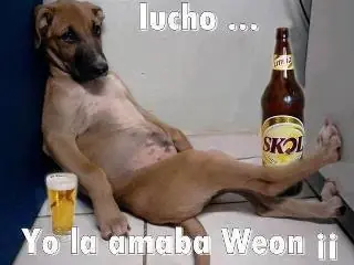 imagenes