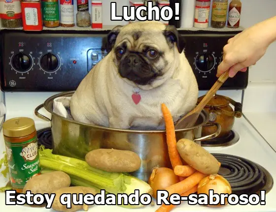 cuantocabro