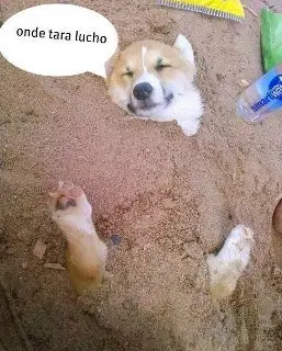 friki