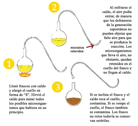 Teorias sobre el origen de la vida.