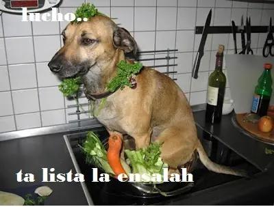 friki