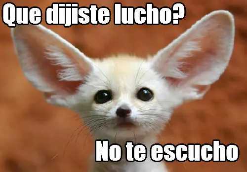 meme