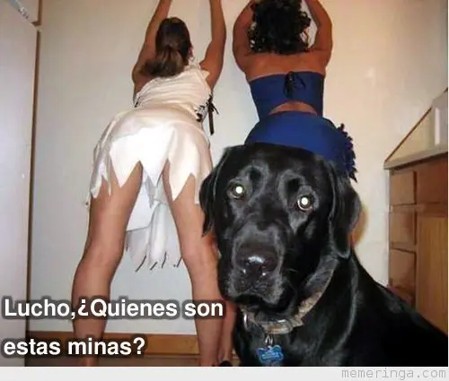 cuantocabro