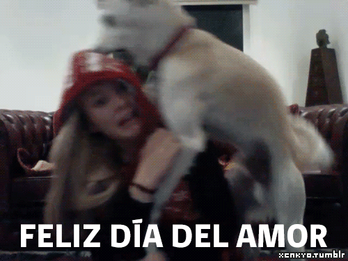 memes
