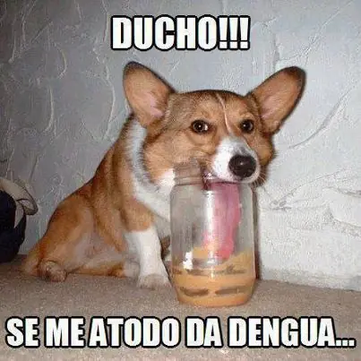 cuantocabro
