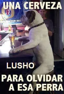 humor