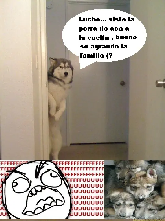 imagenes