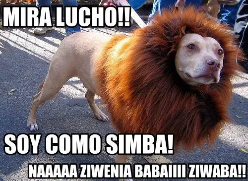 cuantocabro