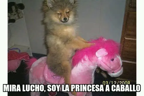 imagenes