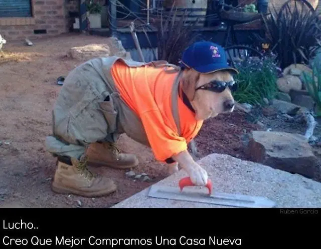 memes