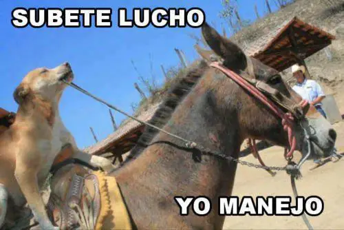 imagenes
