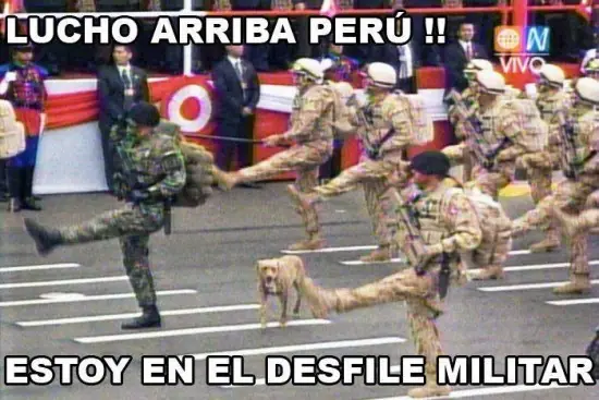 memes