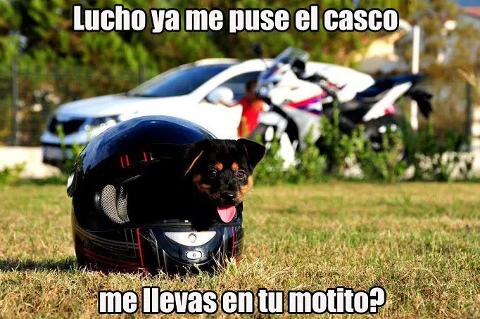 cuantocabro