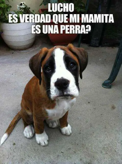 foreveralone