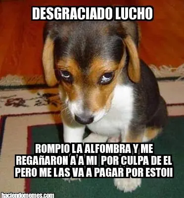 memes