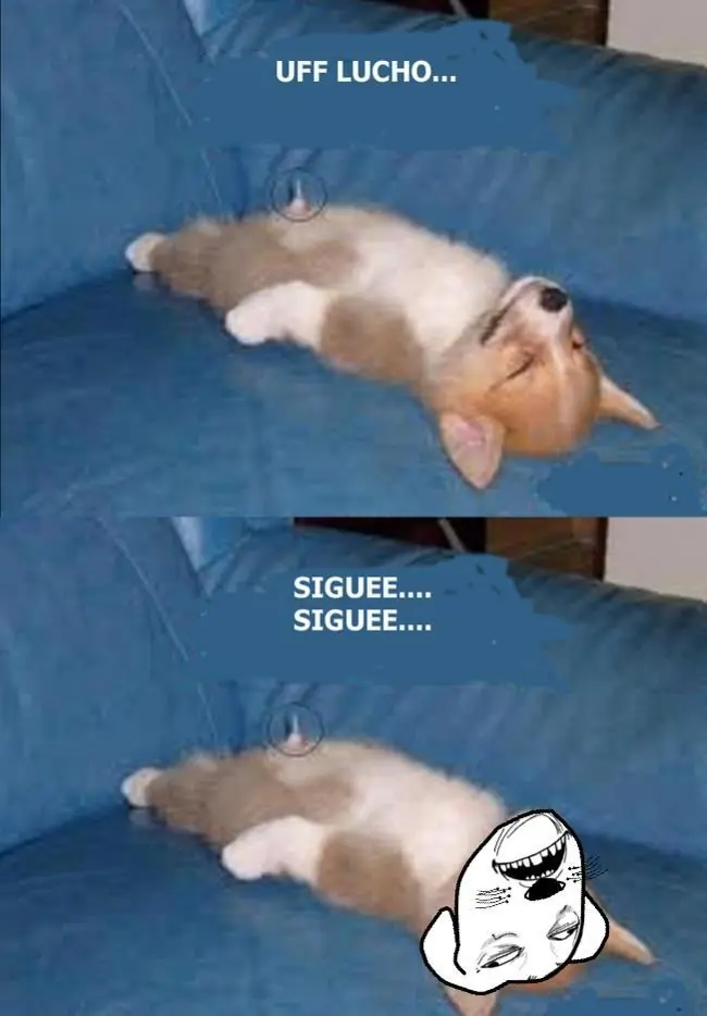 Entra y divierte, Megapost de Lucho