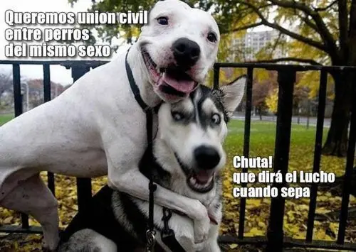 foreveralone