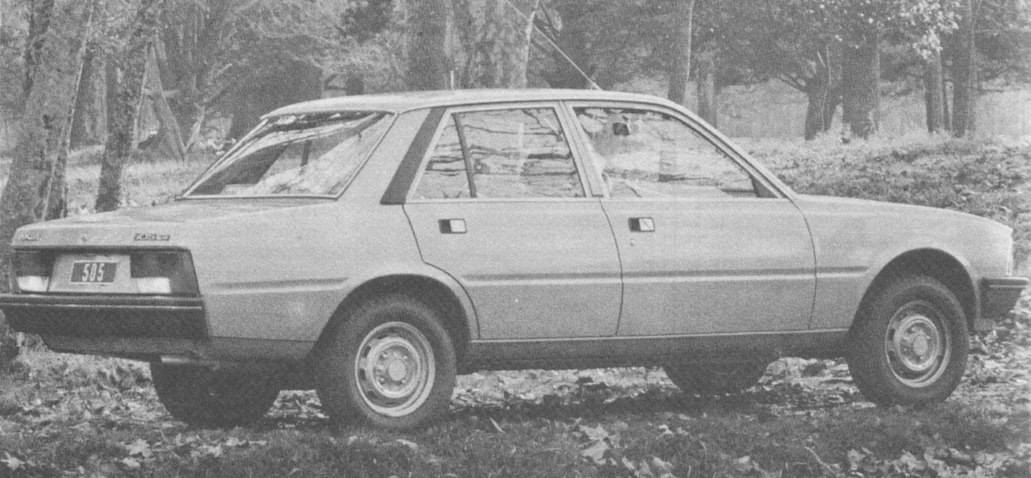 1981