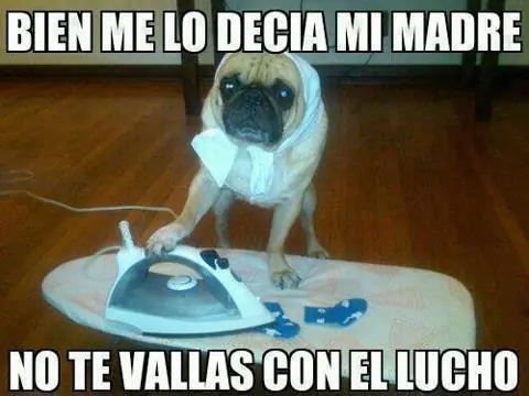 lucho