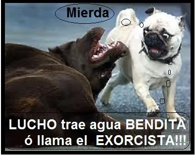 trollface