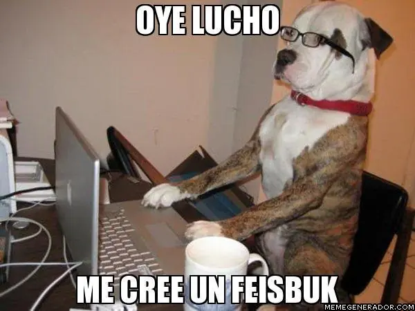 Entra y divierte, Megapost de Lucho
