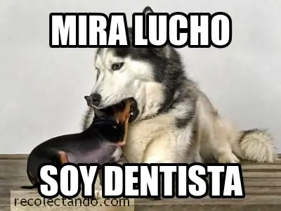 cuantocabro