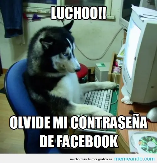 memes