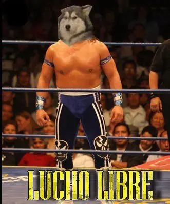 meme