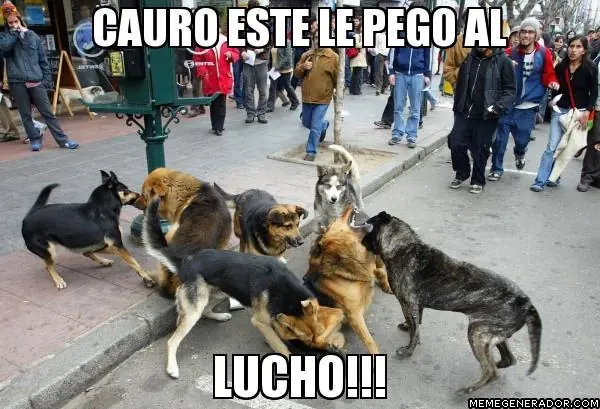 Entra y divierte, Megapost de Lucho
