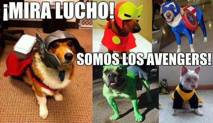 meme