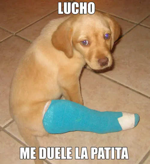 Entra y divierte, Megapost de Lucho