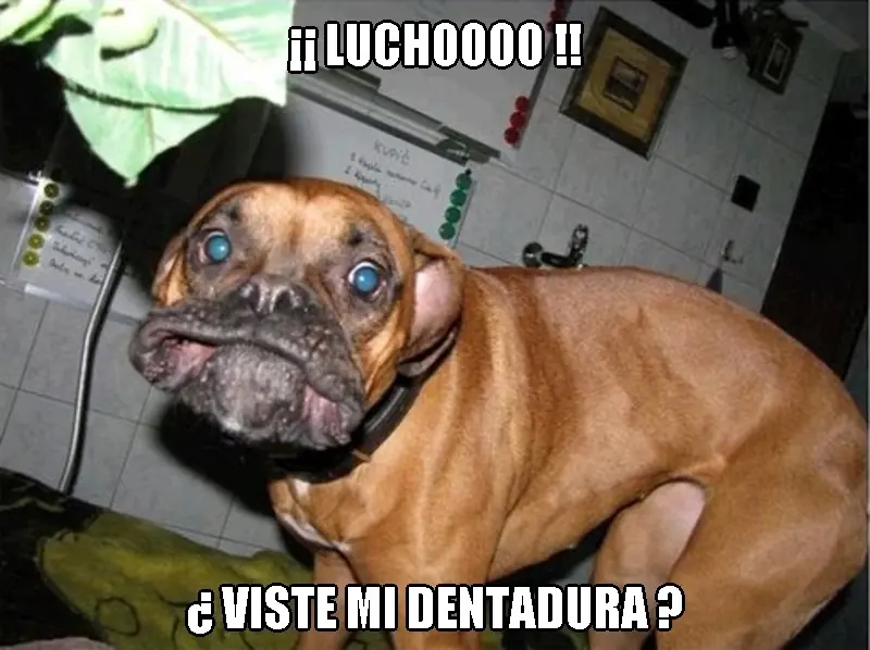 imagenes