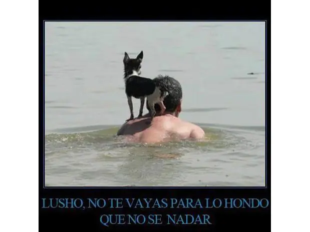 humor