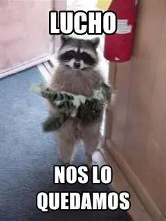 memes