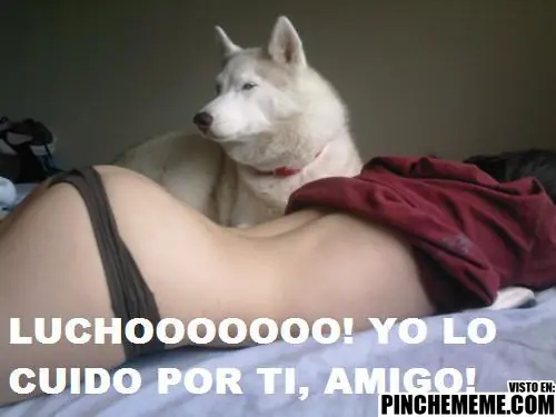 Entra y divierte, Megapost de Lucho