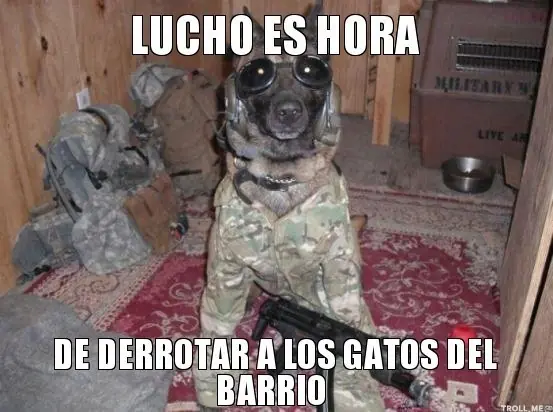 humor
