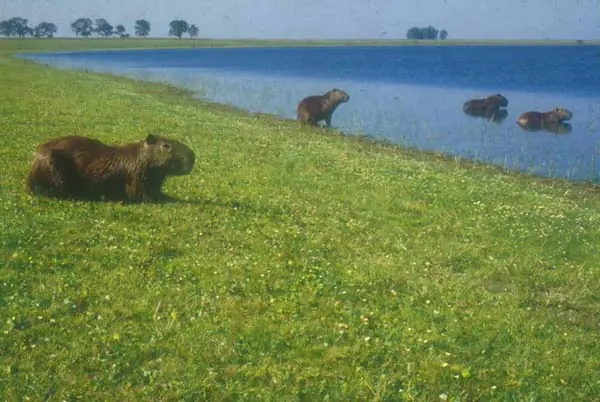 Provincia de Corrientes [Megapost]