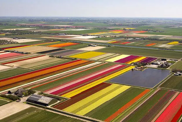 lugares