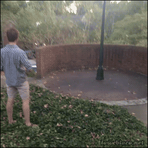 Gifs chistosos