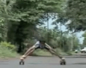 gifs sorprendentes