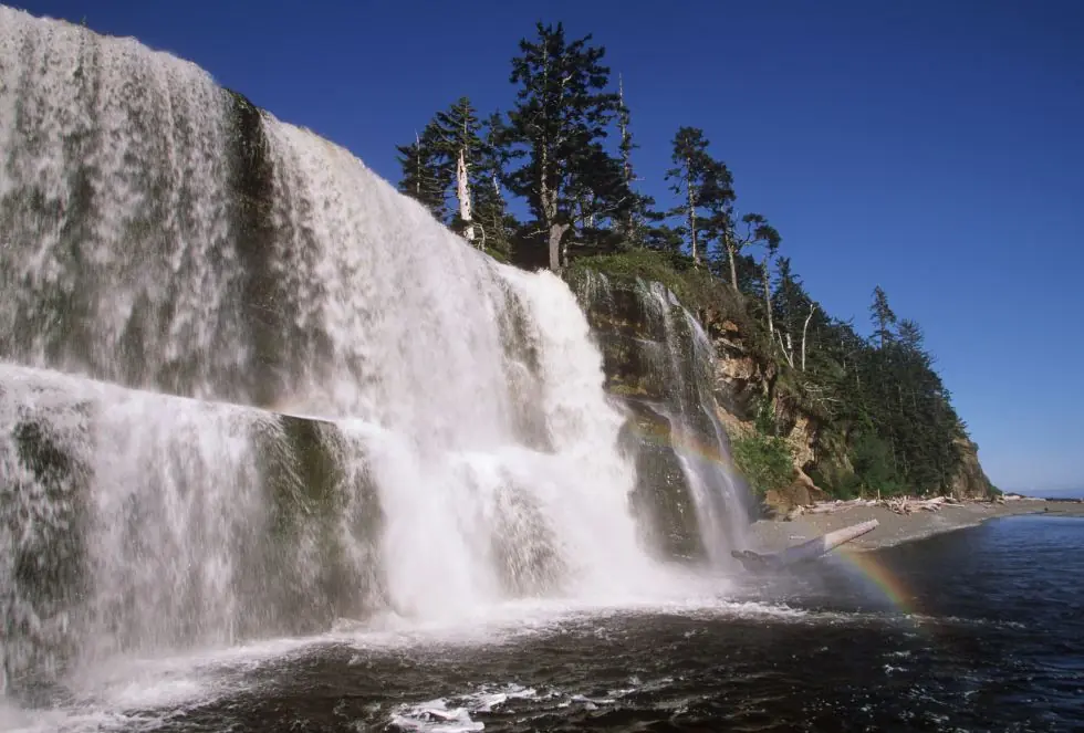 saltos