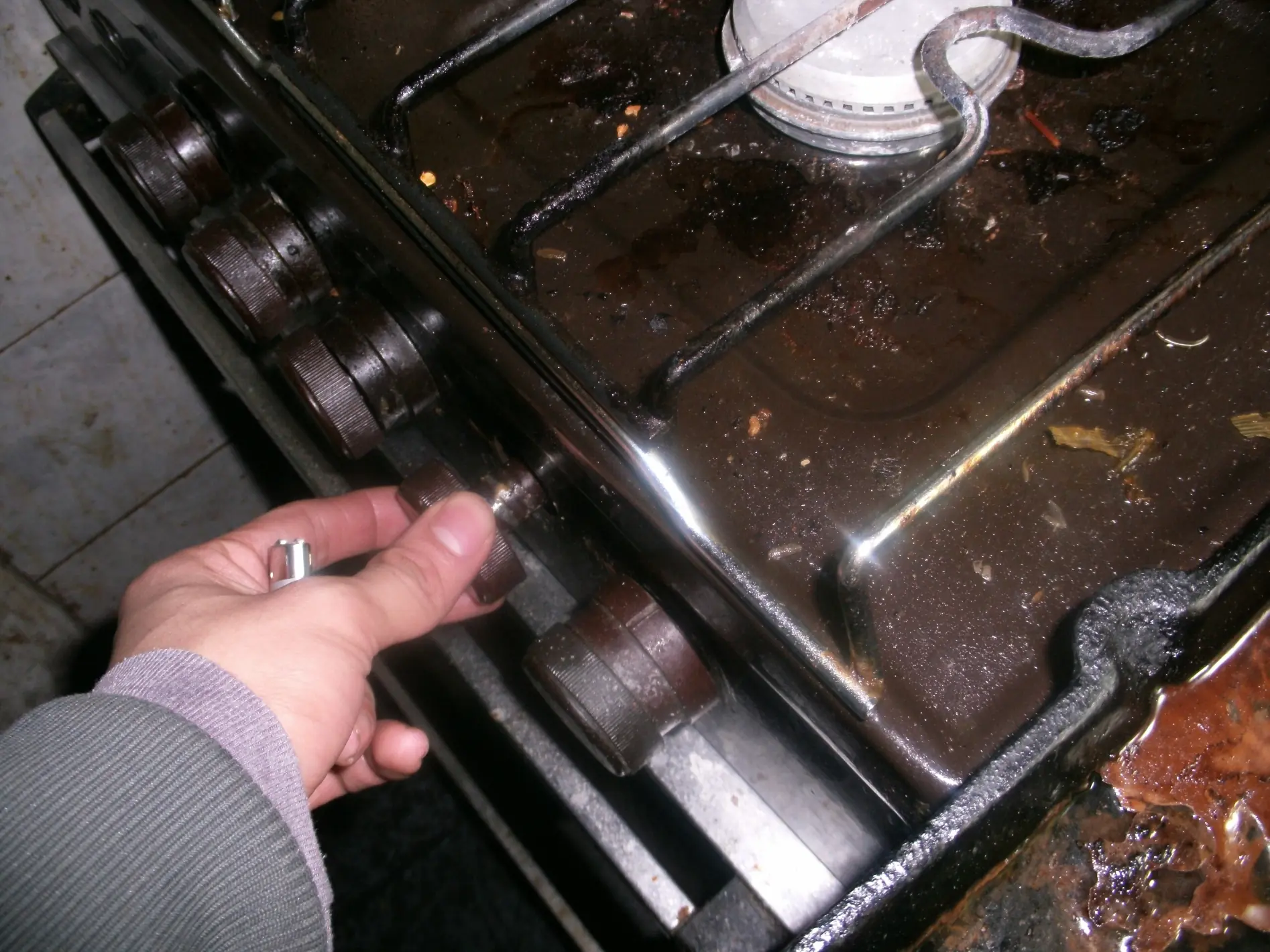 No sabes cocinar Lince? Entra !