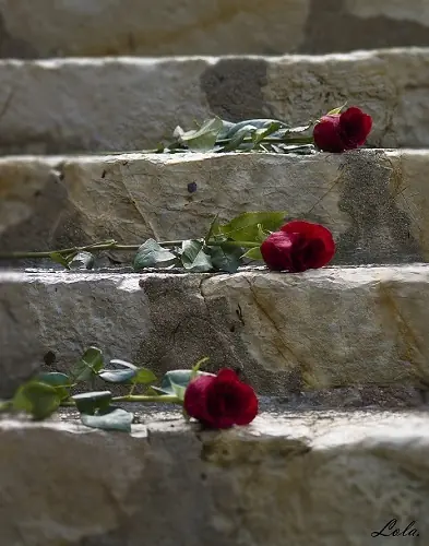 joan